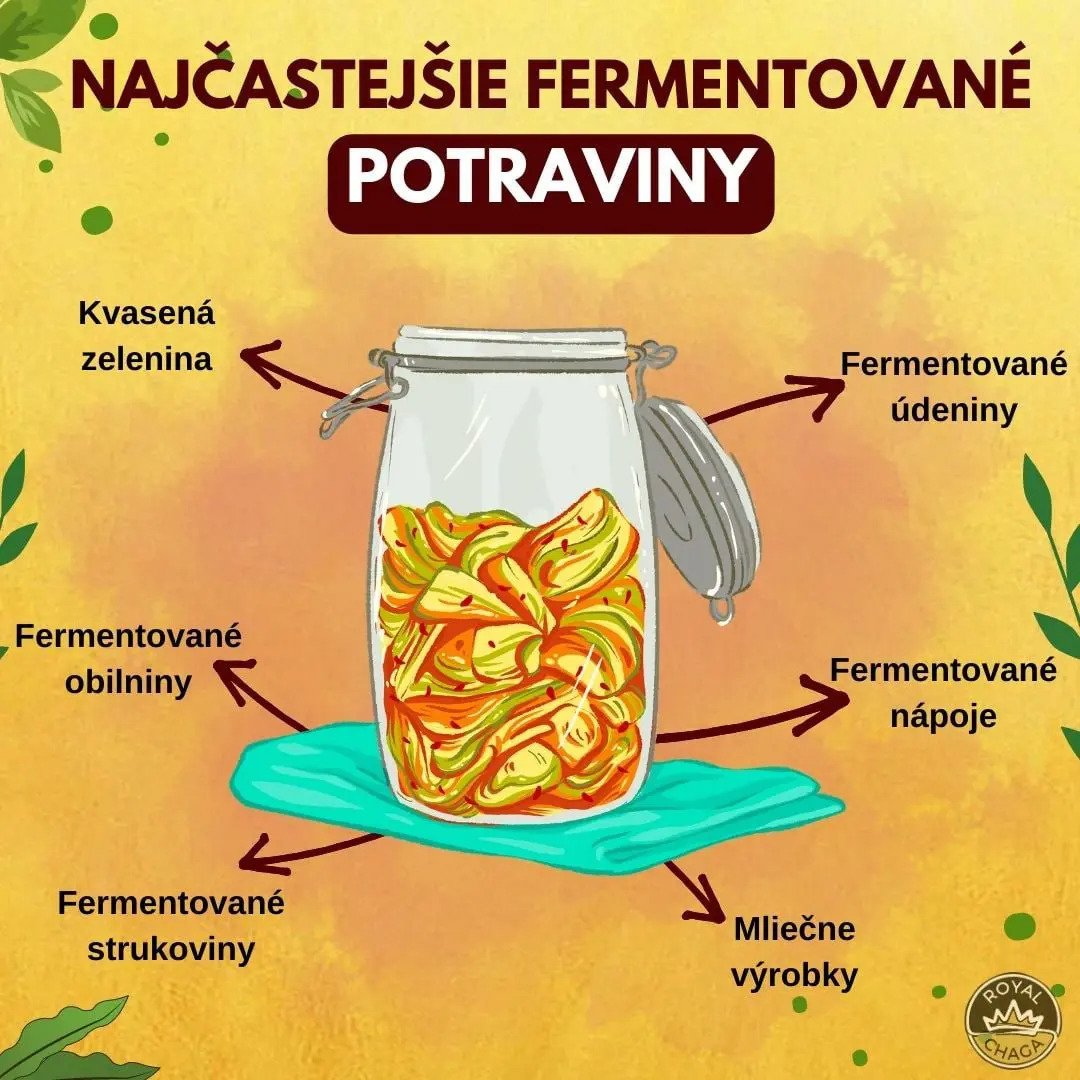 Najčastejšie fermentované potraviny